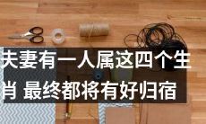 夫妻中有一个人属于以下四个生肖中的任意一个，他们最终都会有幸福的归宿！