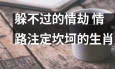 深陷情劫：生肖命途注定坎坷的不可避免之路