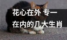 一窝生肖：表面花心，内心专一的几大属相