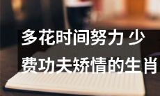 努力付出更多时间，少过多修饰的自我展现——生肖的智慧之道