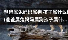 知道父母属兔和属狗，那孩子应该属什么？(What Should Children Belong to If Their Parents Belong to Rabbit and Dog?)