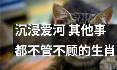 这只生肖完全沉浸在爱河中，不顾一切其他事务