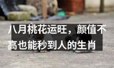 八月桃花运势旺盛，即使颜值普通也能轻松迎来桃花，揭秘生肖桃花运动向