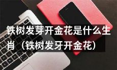 什么生肖对应着“铁树发芽开金花”的传统文化符号？