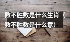 哪个生肖无数无尽 (哪个生肖代表无数无尽的意义)