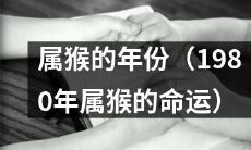 1980年猴年出生人的命运及性格分析