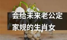 会在婚前为未来丈夫制定生活准则的哪些属相女性？