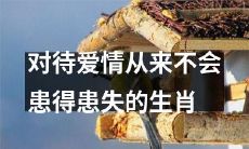 以坦然心态处理爱情的生肖，从不过度担忧得失
