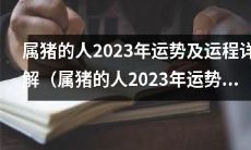 2023年属猪的人运势与运程详细解析（含视频）
