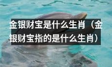 哪些生肖代表着金银财宝?(指的是哪些生肖代表着金银财宝?)