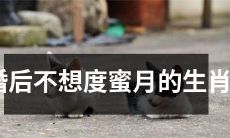 哪些生肖婚后不想度蜜月？可能因为害羞或其他原因，它们更愿意在家里度过幸福的时光！