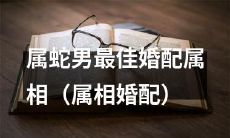 探寻与属蛇男最佳婚配的属相：解密属相婚配的奥秘