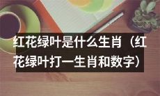 探秘红花绿叶代表的生肖与数字是什么?