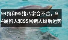 94年出生的属狗人和95年出生的属猪人的姻缘如何，他们结婚后的命运如何？