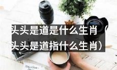 哪个生肖的人是以领导为导向的？（头头是道意味着哪个生肖？）