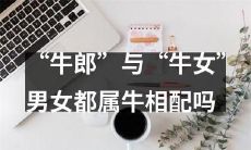 根据中国传统文化，是否所有属牛的男女都适合搭配成‘牛郎’与‘牛女’？