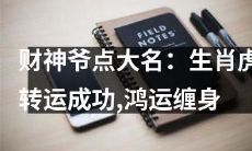 财神爷高照：生肖虎运程大展，好运源源涌现