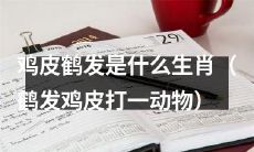 鹤发鸡皮的谜底揭晓：揭秘哪个生肖具有这种特征