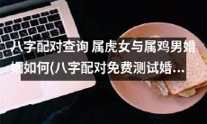 属虎女与属鸡男的八字配对查询及其对婚姻的影响:免费测试即可确定婚姻是否美满