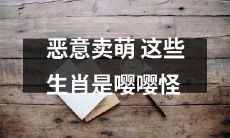 这些恶意卖萌的动物属于“嘤嘤怪”生肖！