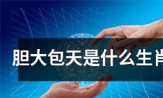 胆大包天的生肖是什么？-探索十二生肖中最勇敢的一类
