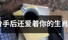 根据星座学说，分手后仍对你念念不忘的生肖特质与解析