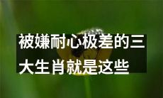 这些生肖因极差耐心而备受嫌弃，让人无法容忍的三大生肖！