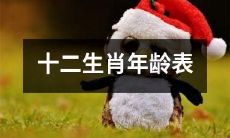 探究十二生肖的年龄排行榜，从干支纪年到人类年龄之间的转换与文化差异