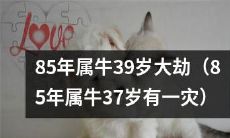回顾85年属牛的人,即将面临39岁的大劫(如37岁时曾经遭遇一次灾难)