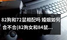 82年狗女和84年鼠男的婚姻匹配度如何？能否相守一生？探究狗和鼠的互补关系及影响因素！