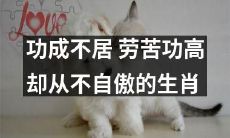 一份温和而不骄傲的生肖：劳苦功高的动物们