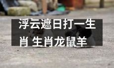 浮云掩盖太阳，猜测三种生肖：龙、鼠、羊