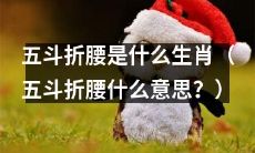 请问五斗折腰是哪个属相？（五斗折腰指什么？）