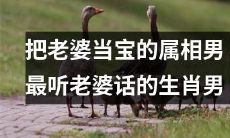 属相男中，以把老婆当宝、最听老婆话著称的生肖男最受崇拜！