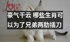 哪些生肖在兄弟情义之间能够豪气干云，毫不犹豫地舍身取义？