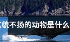 哪些生肖属于看起来平凡无奇、没什么特别魅力的动物？