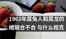 1963年出生的兔和龙属相人的婚姻是否和什么属相相克？