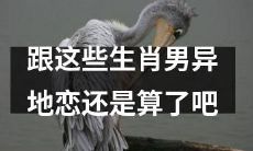 跟这些属相男子异地恋的话，或许可行性不大，不妨放弃？