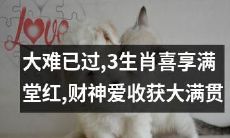 跨过大难关，三生肖幸福满溢，财神青睐享受大丰收