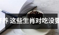 这些生肖容易养护，不挑食，对饮食没有特别要求