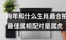 狗年配属虎:探究最佳属相配对,看看哪些生肖最合拍!