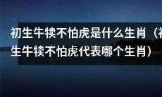 初生牛犊因勇敢而不畏虎，代表哪一个生肖？