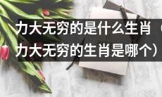 哪个生肖拥有着无与伦比的力量？（Which Zodiac Sign Possesses Unmatched Strength?)