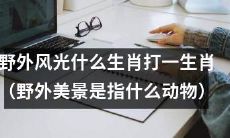 哪种生肖可以代表野外壮丽风光中的动物？