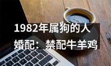 1982年出生并属狗的人的婚配指南：不适宜与牛、羊和鸡联姻