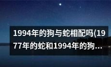 这个头是一个考虑穿越时间的命题：1977年的蛇是否能和1994年的狗搭配起来？