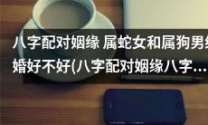 属蛇女和属狗男的八字配对姻缘是否理想？探究八字合婚对于这对關係的影響