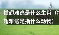 究竟是哪个生肖会被形容为‘插翅难逃’，指的是哪些有着无法逃脱命运的动物？