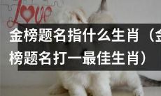 哪个生肖在金榜题名中获得最佳成绩？