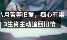 八月经历苦等旧爱,痴心不改,终于追回旧情的3个生肖主动出击